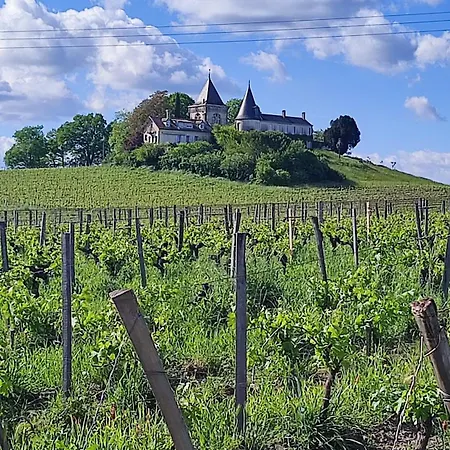Maison Charmeilles - Montagne Saint Emilion 3* Fronsac (Gironde)
