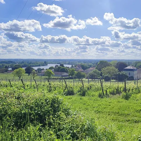 Maison Charmeilles - Montagne Saint Emilion بيت ضيافة Fronsac (Gironde)