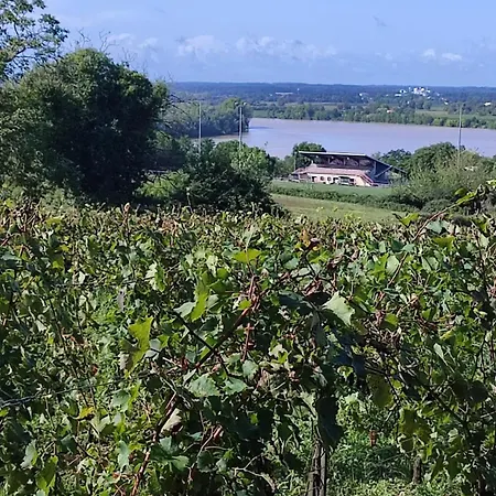 بيت ضيافة Maison Charmeilles - Montagne Saint Emilion Fronsac (Gironde)