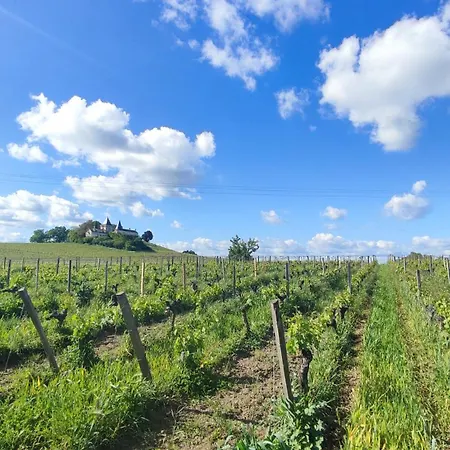 بيت ضيافة Maison Charmeilles - Montagne Saint Emilion